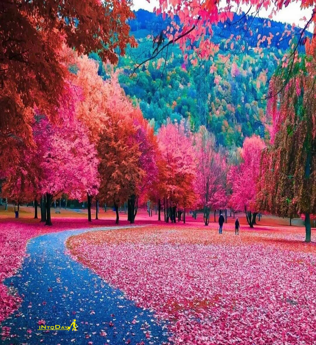 آصف آریا امشب از خود بیخودم شر میکنم هرکی بیاد سمت تو